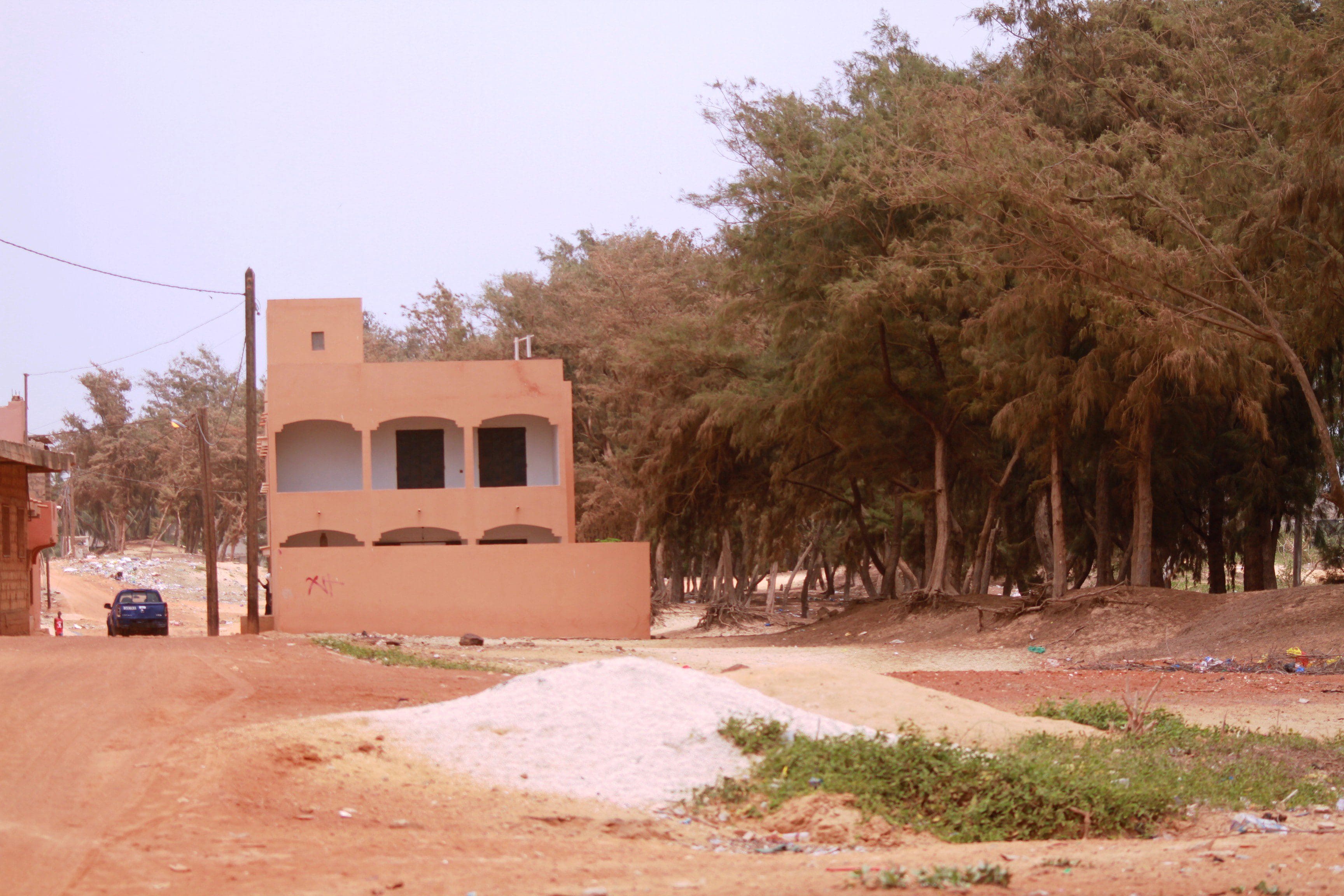 Les Niayes, nouvelle terre de paysans sans terre